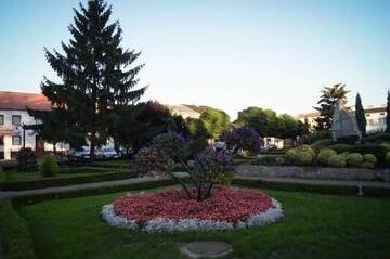 Фото номера Superior Apartment Targowa 29/7 Street Апартаменты Apartament Słoneczny г. Унеюв 19